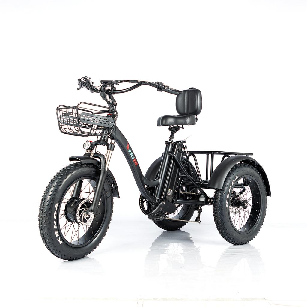 Three wheel fat 2025 tire electric bike